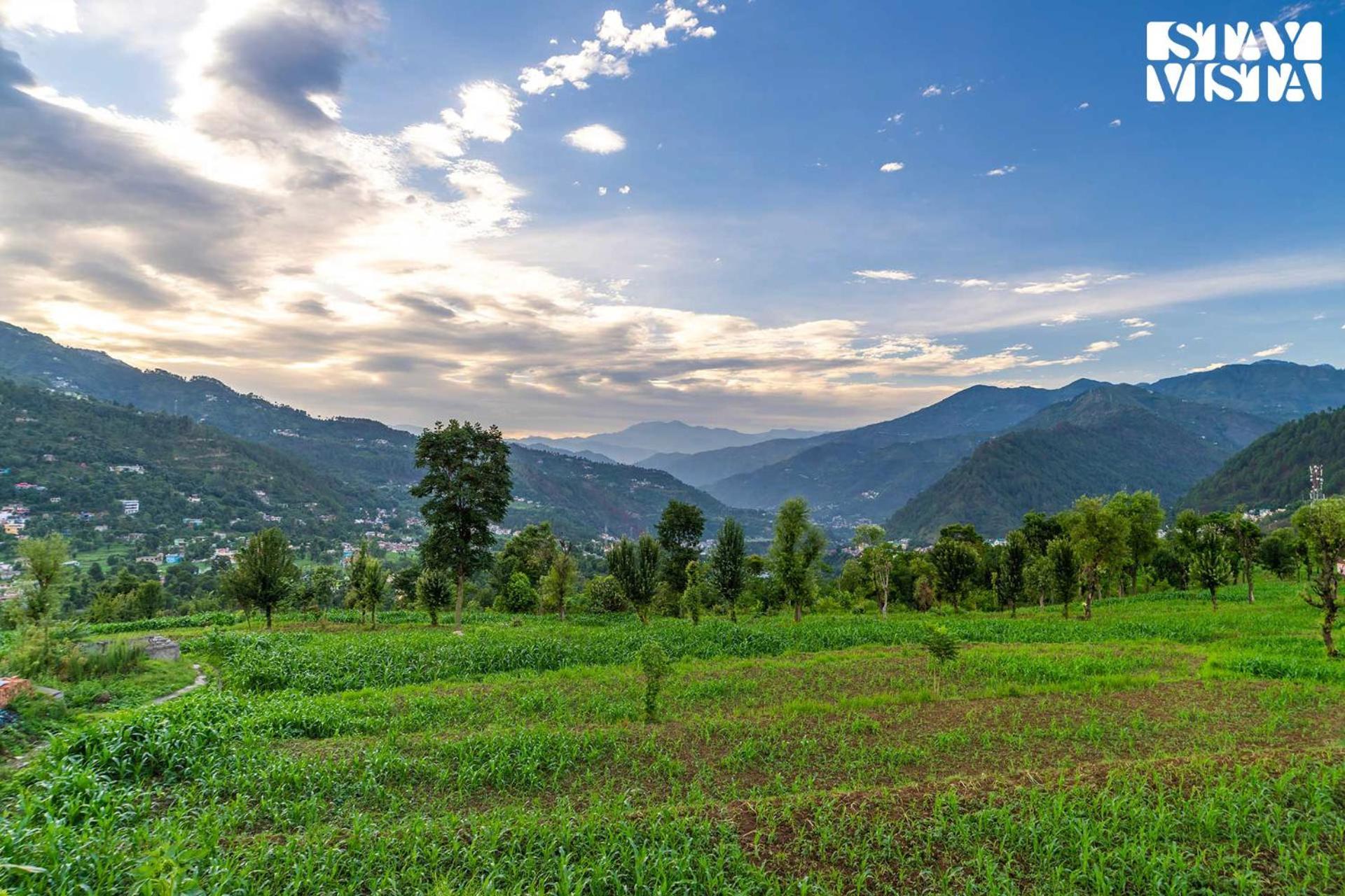 Stayvista At The Oakridge 4 Bhk Villa In Dharamshala With Jacuzzi & Balcony Чамба Экстерьер фото